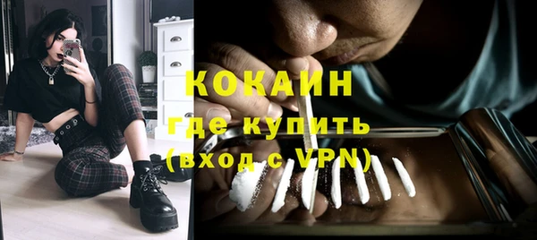 шишки Нефтегорск