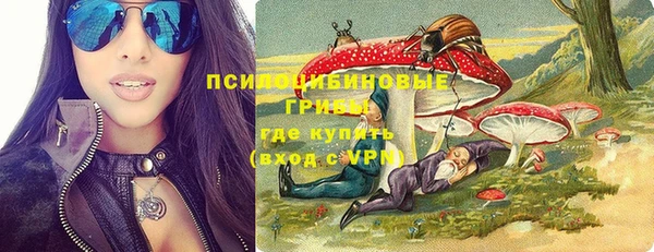 ешки Алзамай