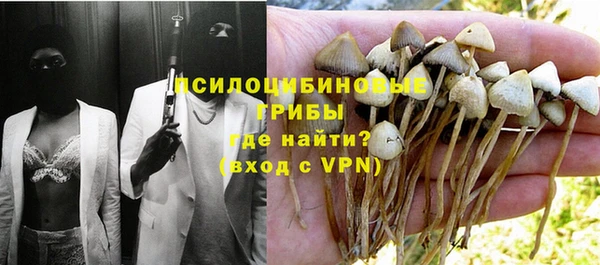 мяу мяу кристалл Алексин
