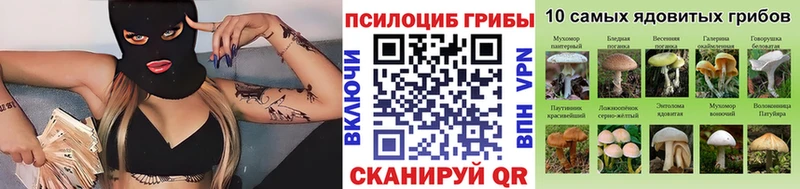 Псилоцибиновые грибы Magic Shrooms  blacksprut   Алексин 